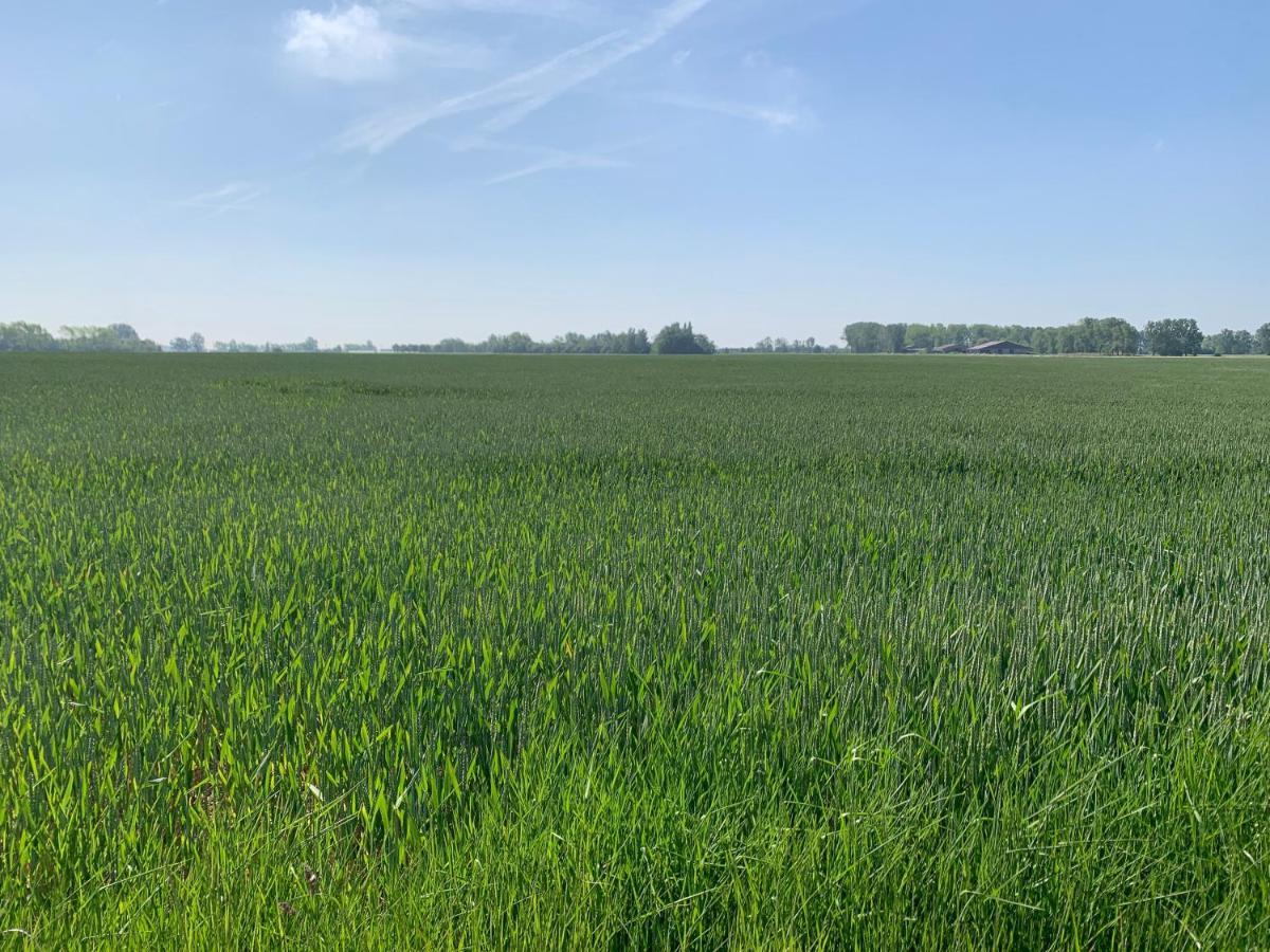 De Scheure, Charmant Vakantiehuisje Midden In De Natuur Alveringem Exterior photo